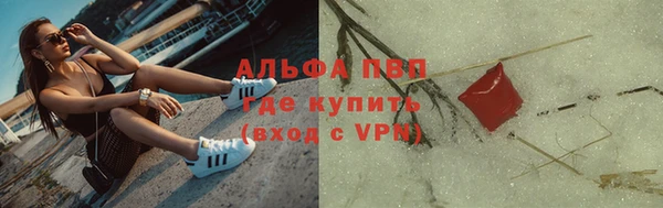 ПСИЛОЦИБИНОВЫЕ ГРИБЫ Переславль-Залесский