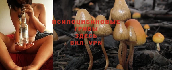 ПСИЛОЦИБИНОВЫЕ ГРИБЫ Переславль-Залесский