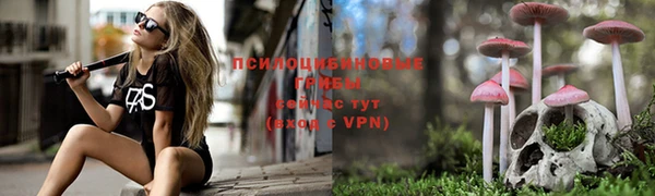 мескалин Пестово
