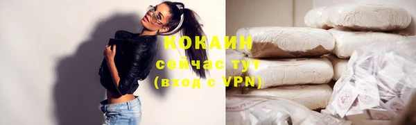 винт Осинники