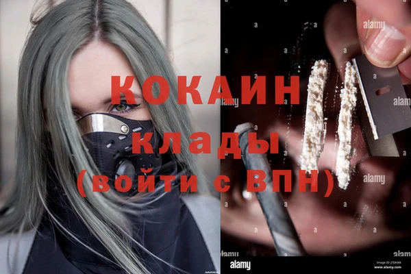 ПСИЛОЦИБИНОВЫЕ ГРИБЫ Переславль-Залесский