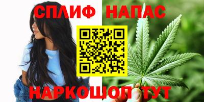 стафф Гагарин