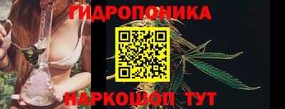 ПСИЛОЦИБИНОВЫЕ ГРИБЫ Гай