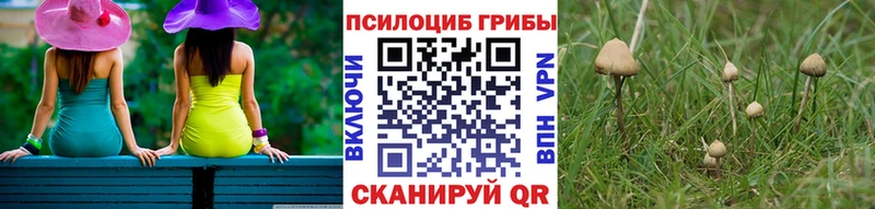 Галлюциногенные грибы мицелий  закладки  Коряжма 