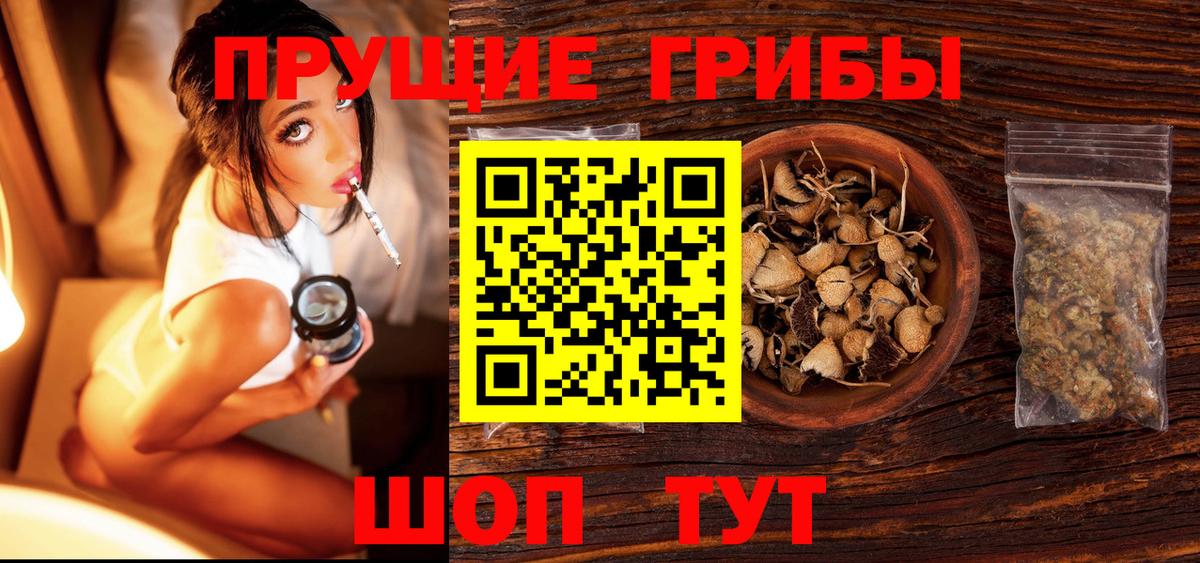 Псилоцибиновые грибы Psilocybe  Вход с VPN  где купить наркоту  Коряжма 